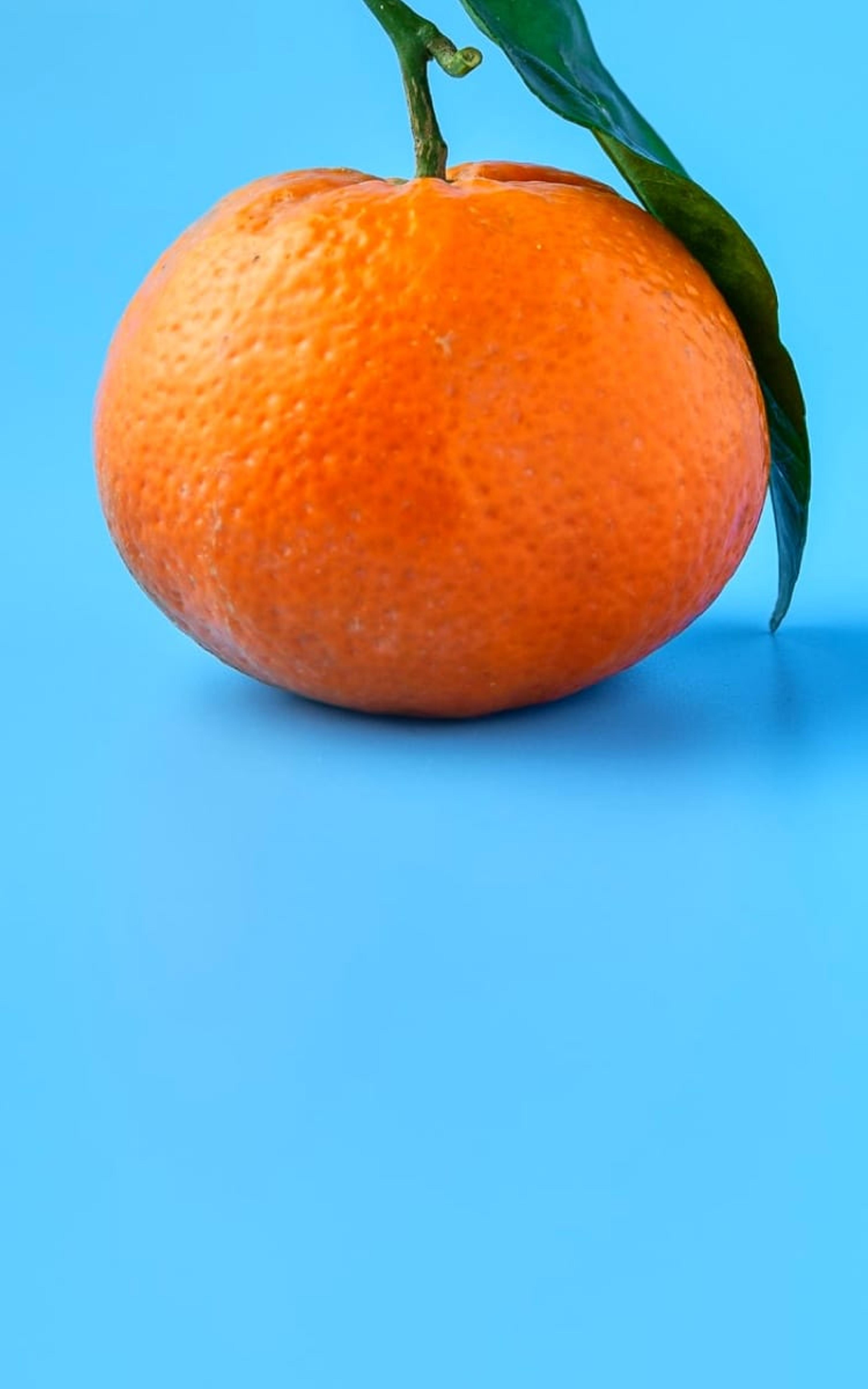 Orange on blue background