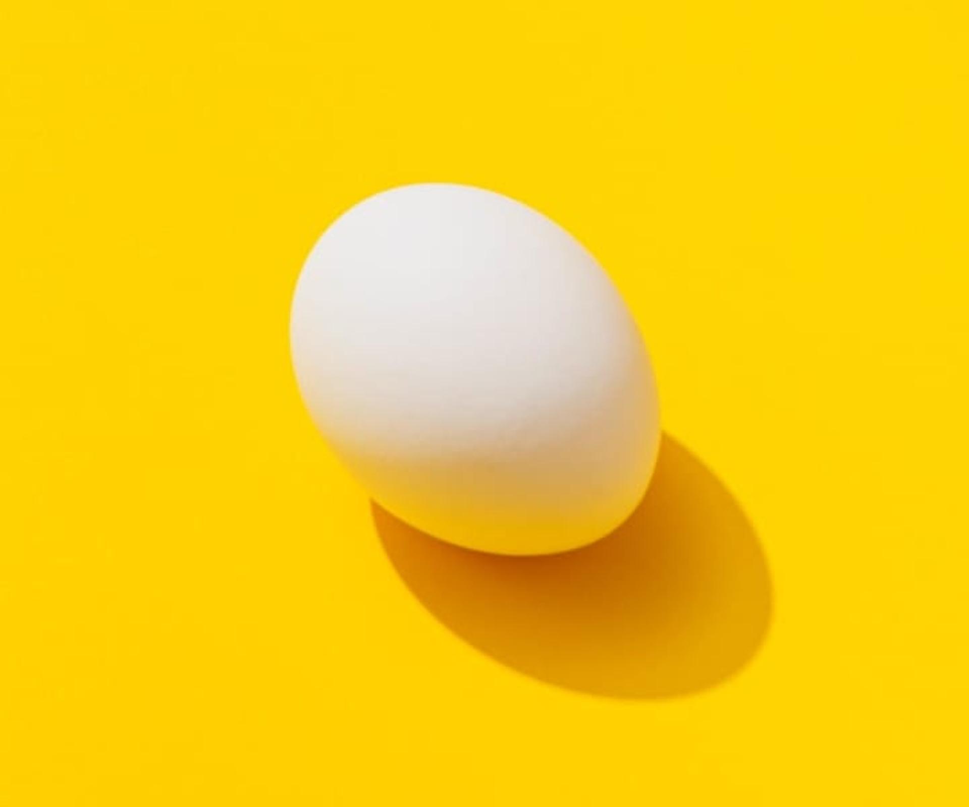 White egg on yellow background